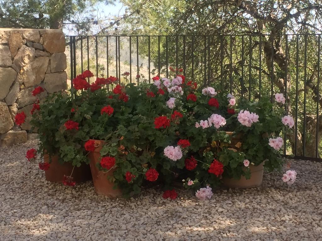 Finca El Otero Aigues 외부 사진